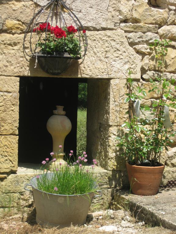 Domaine La Rose Bed and Breakfast Caylus Εξωτερικό φωτογραφία