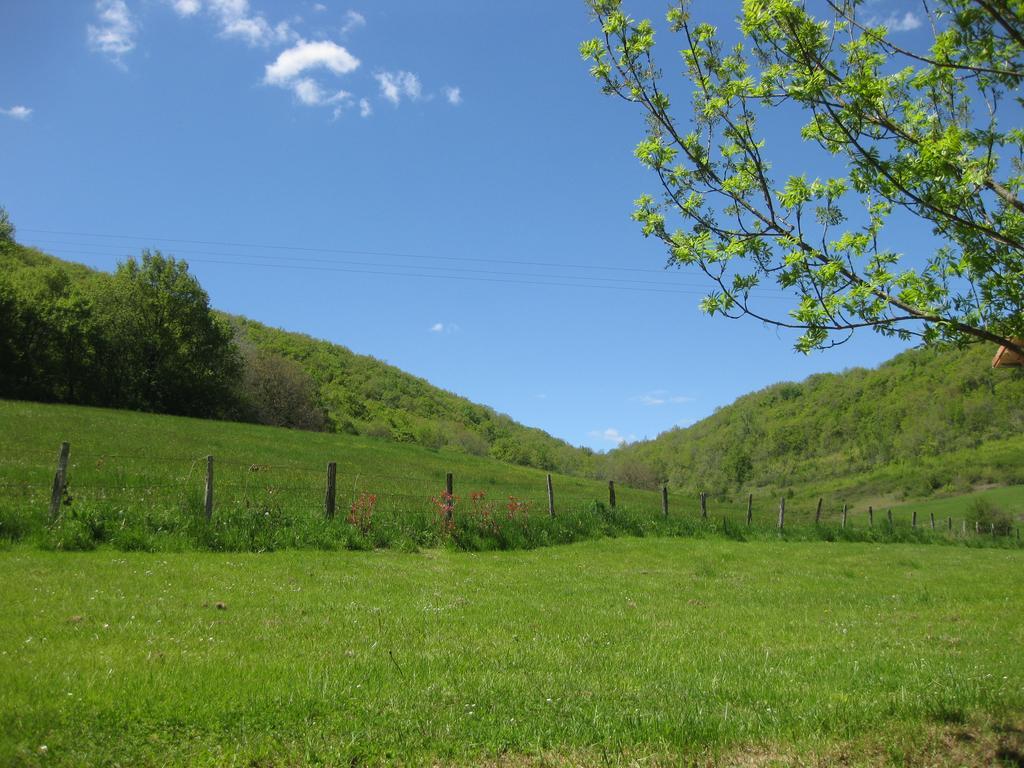 Domaine La Rose Bed and Breakfast Caylus Εξωτερικό φωτογραφία